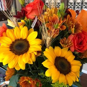 Meet your Posher, Michele